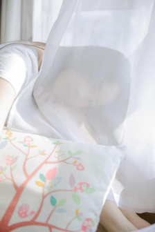 大明嫔妃之离间手机